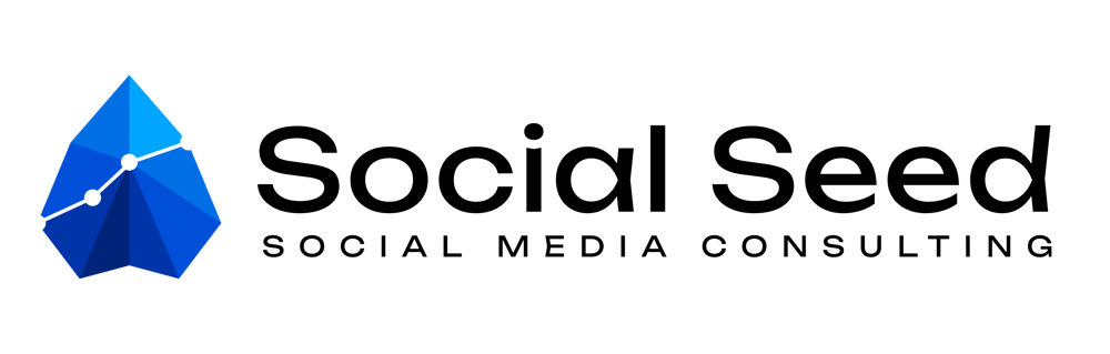 Logo: Eine blaue, pyramidenförmige Form mit einem weißen Liniendiagramm und dem Text „Social Seed SOCIAL MEDIA CONSULTING“.