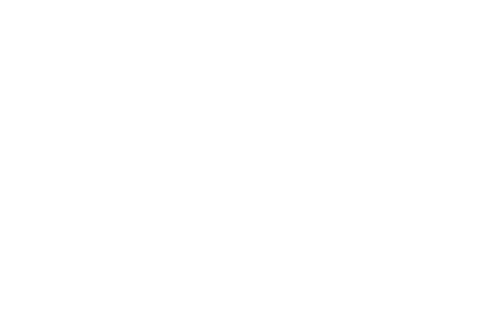 Logo mit weißem "S", geschmückt mit Weizenähren, und dem Text "SCHIEDERMEIER BÄCKEREI · KONDITOREI".
