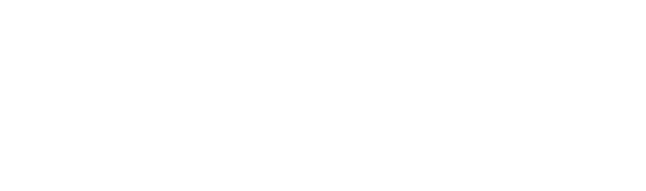 BERTSCH MARKETING