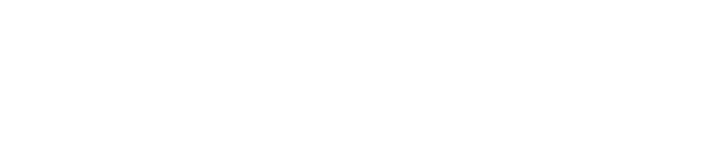 Logo mit weißer Pyramide und dem Text "KIANUSALES" auf grünem Hintergrund.