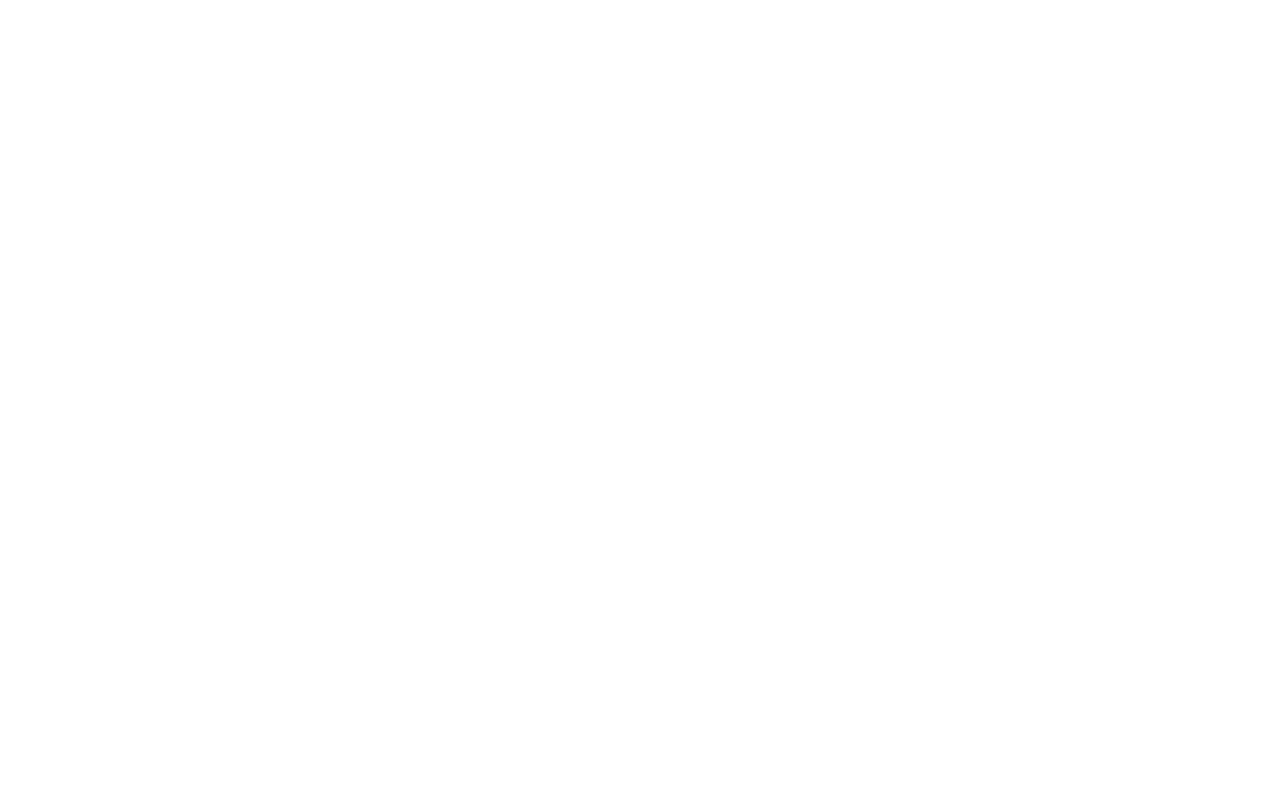 Kundenlogo 2