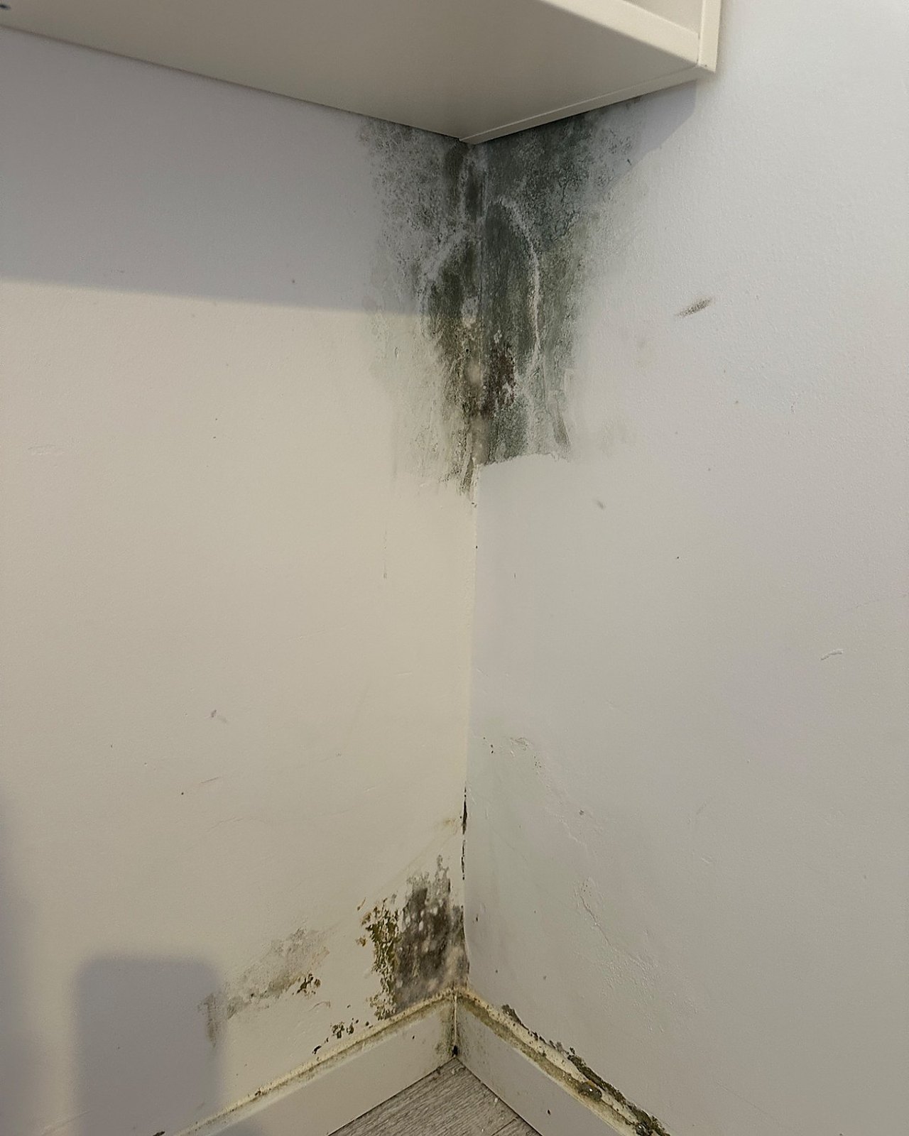 Ausgeprägte Feuchte- und Schimmelspuren in einer Wandecke im Innenraum.