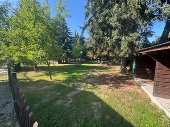 Gartenfläche mit Rasen, Bäumen und einem Schuppen im Hintergrund