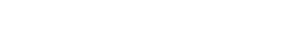 Logo Schriftzug Willen Immobilien