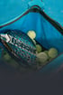 Ein Babolat Padel-Schläger liegt zusammen mit gelben Padel-Bällen in einer blauen Sporttasche.
