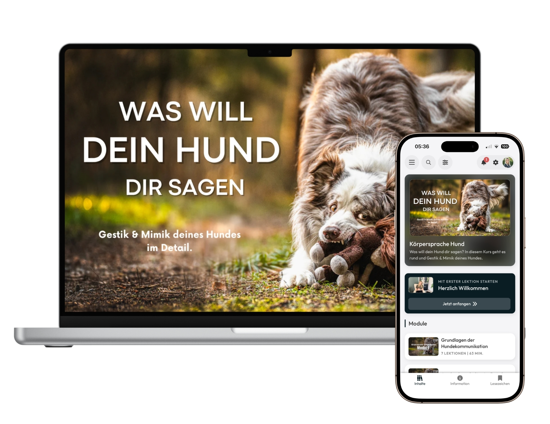 Was will dein Hund dir sagen? – Bild 1