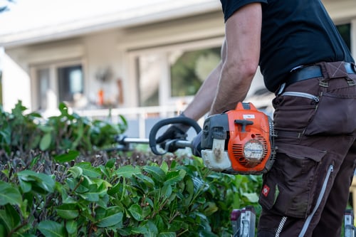 Gepflegter Garten von Calis Gartenbau