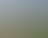 Zwei Personen in Sportkleidung dehnen sich im Freien auf einem asphaltierten Weg neben einem Getreidefeld.
