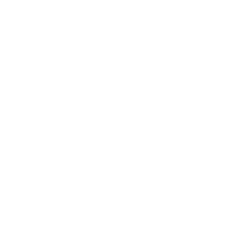 Social Media Probleme Icon