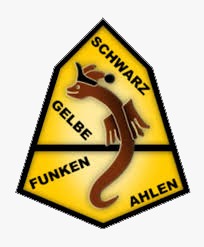 Schwarz-Gelbe-Funken