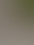 Beschädigte weiße Wand mit freiliegender roter perforierter Platte und Schutt am Boden, draußen Bäume und Schotter.