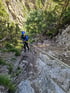 Eine Person in blauer Ausrüstung seilt sich in einem Waldtal ab.