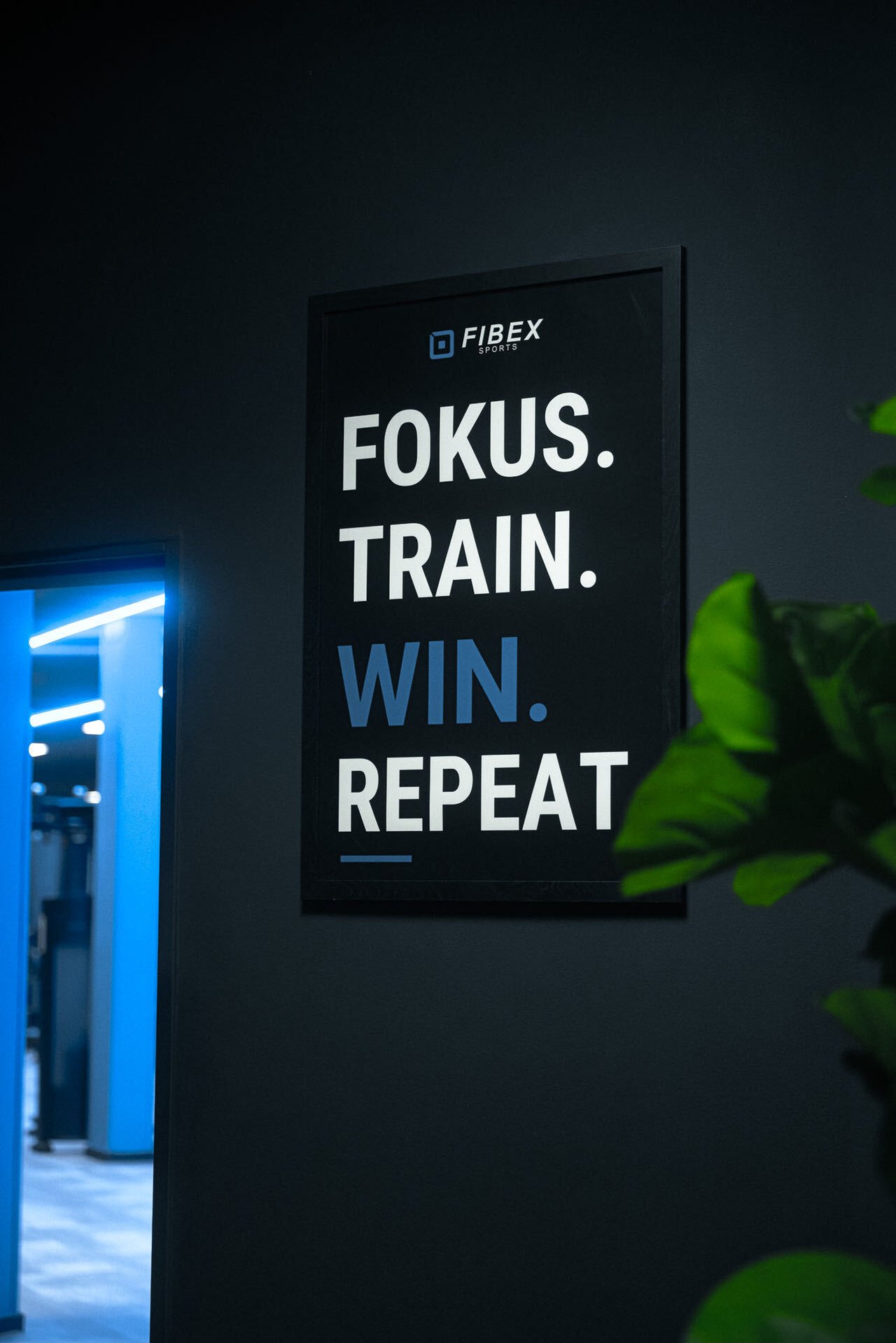 Trainingsfläche bei FIBEX Sports