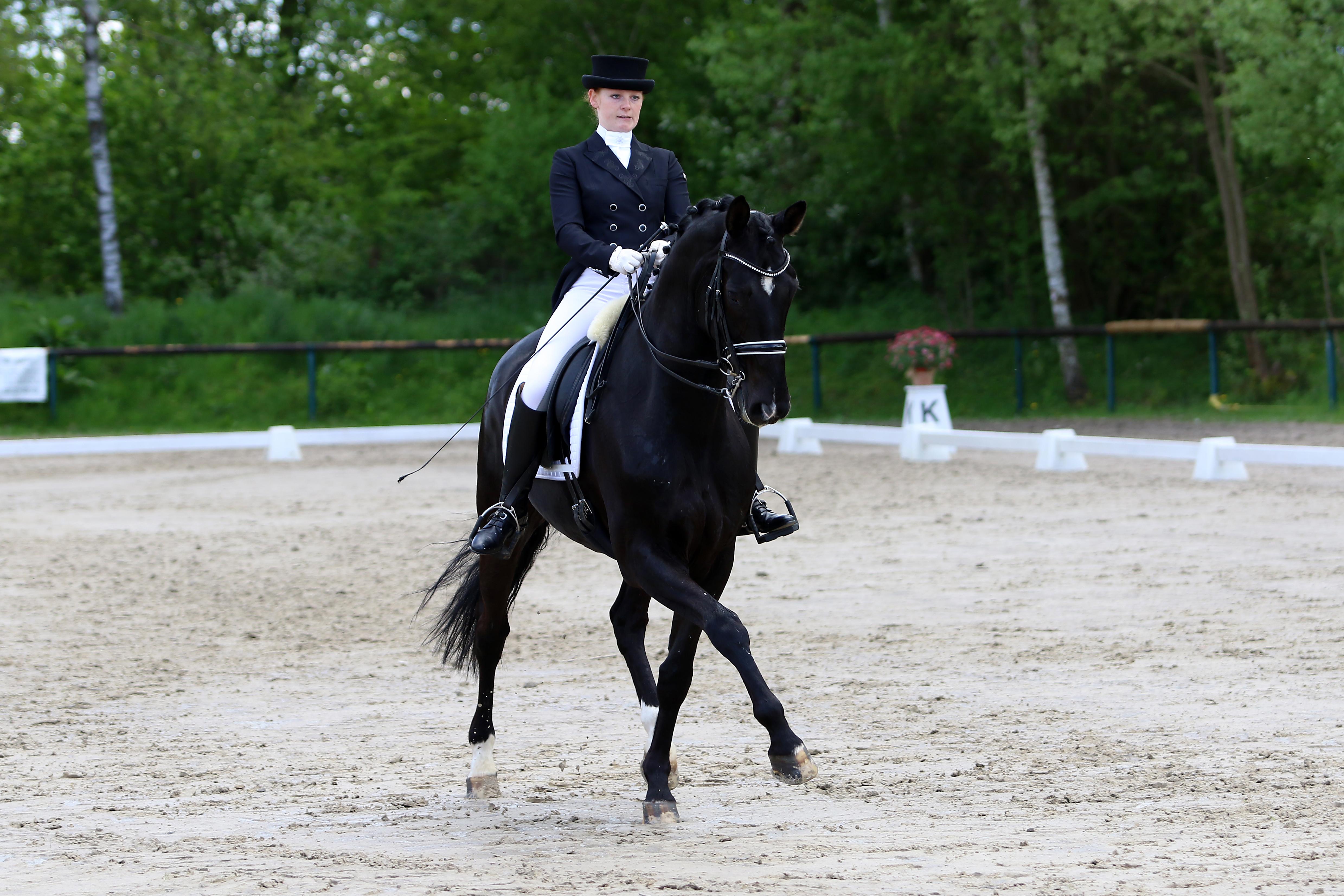 Equestrian Balance Coach