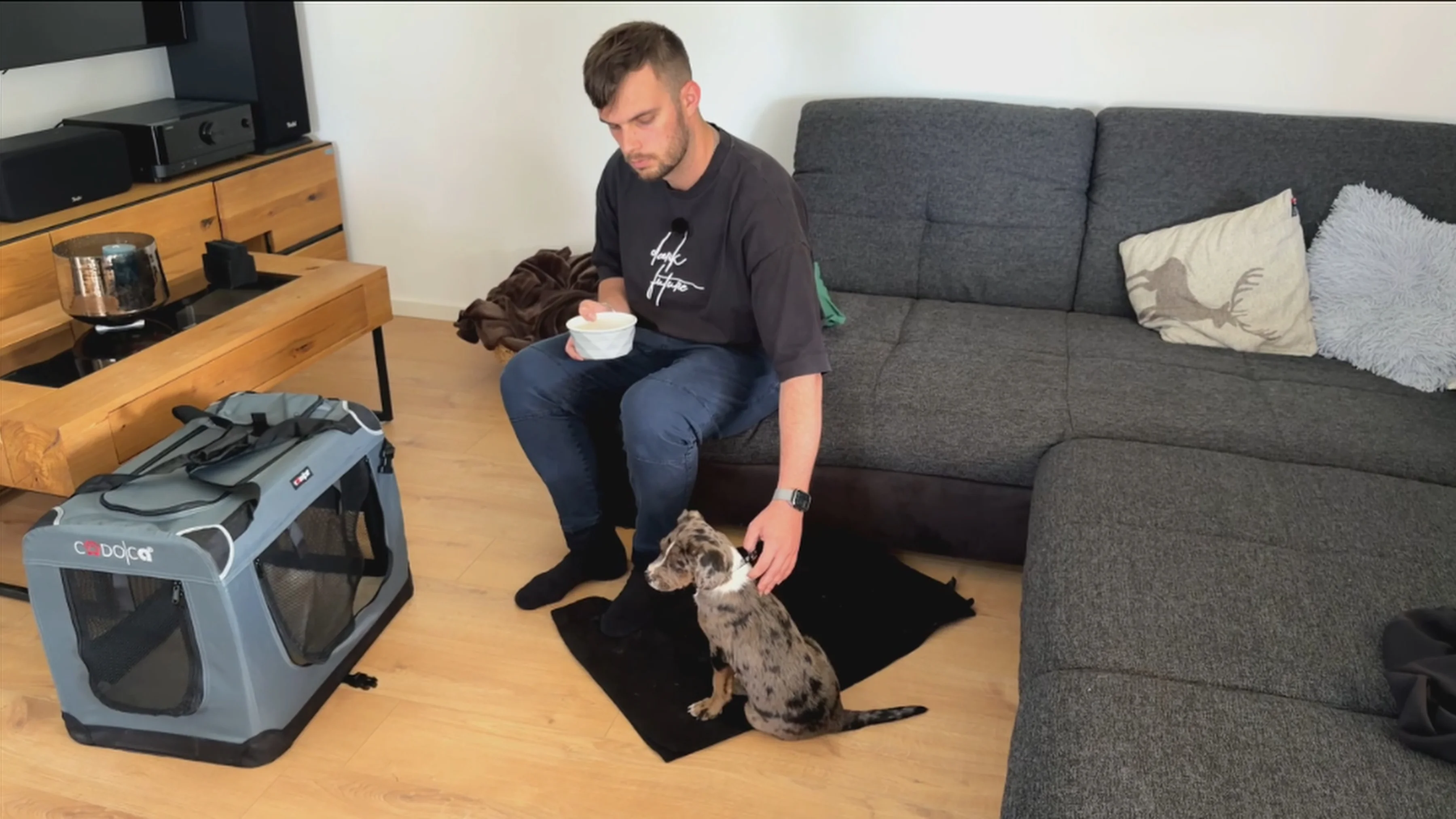 Welpe sitzt auf der Decke neben der Hundebox im Wohnzimmer