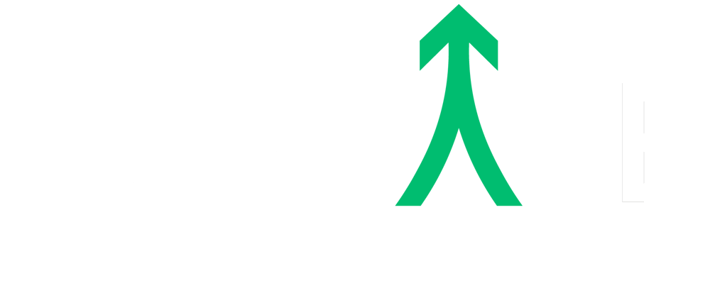 Weißer Text "ELEVATE WEBDESIGN" auf dunkelgrünem Hintergrund.
