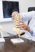 A doctor holds a model of the human spine.