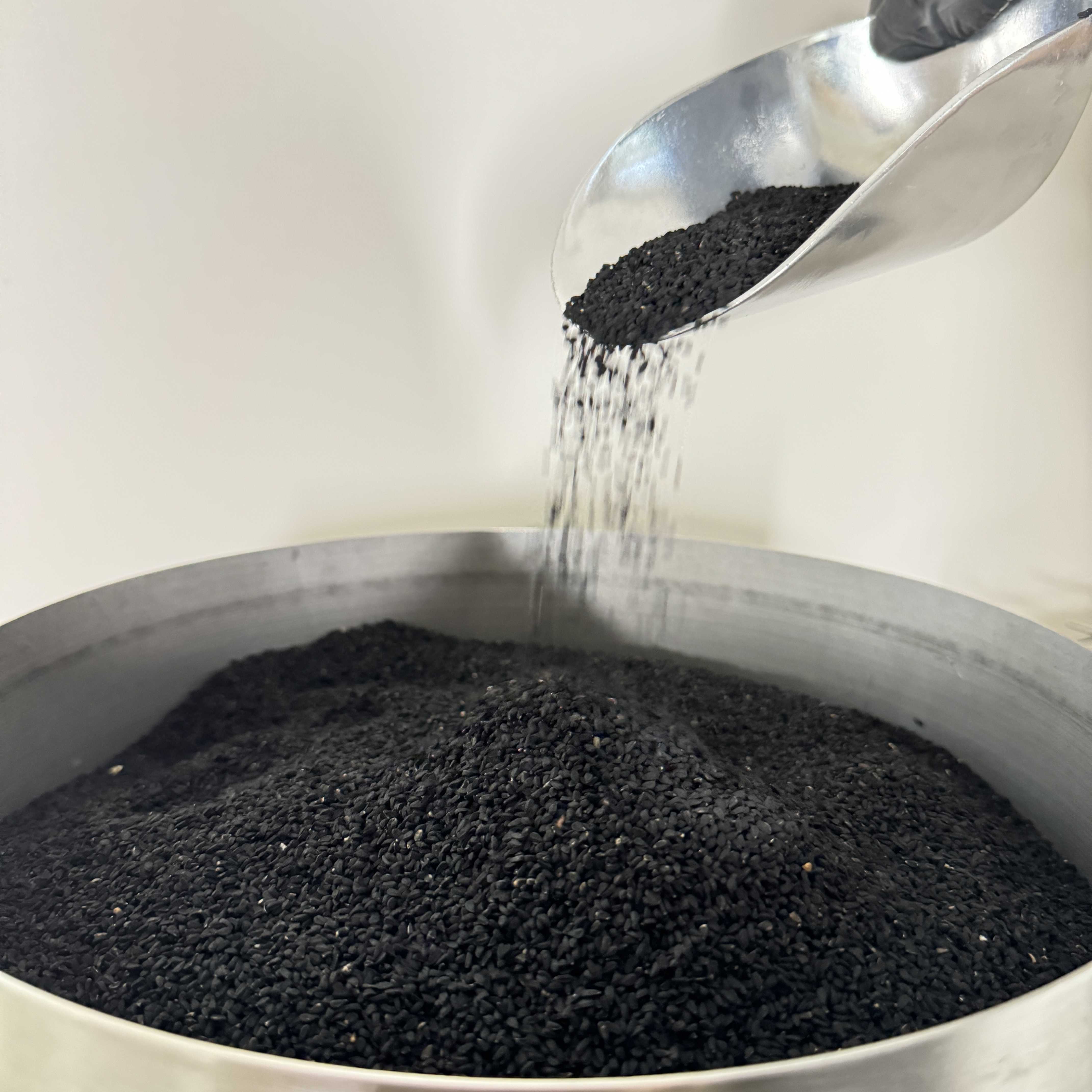 Schwarzkümmelsamen werden aus Metallschaufel in große Metallschüssel für die Pressung geschüttet