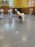 Zwei Personen in weißen Karate-Anzügen beim Training auf einem Hallenboden, weitere Teilnehmer stehen im Hintergrund.