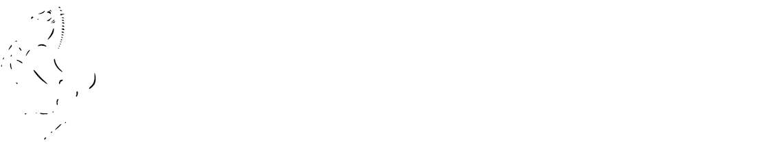 B.I. Collection