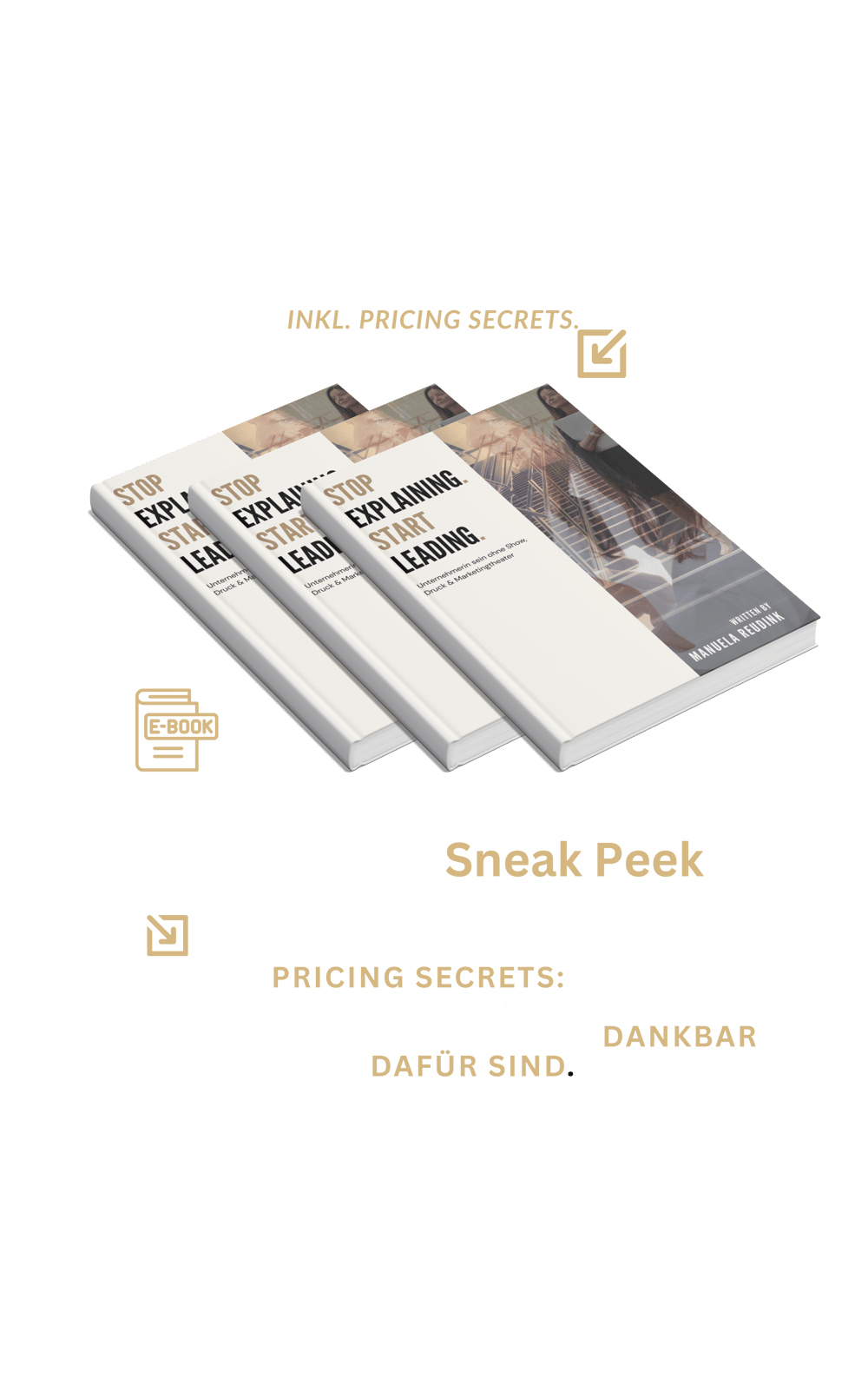 Unternehmerinnen e-book Pricing, Preis, den Kund:innen gerne bezahlen