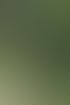 Gärtner mit Gehörschutz und Schutzbrille mäht mit einer Motorsense eine Rasenfläche im Garten.