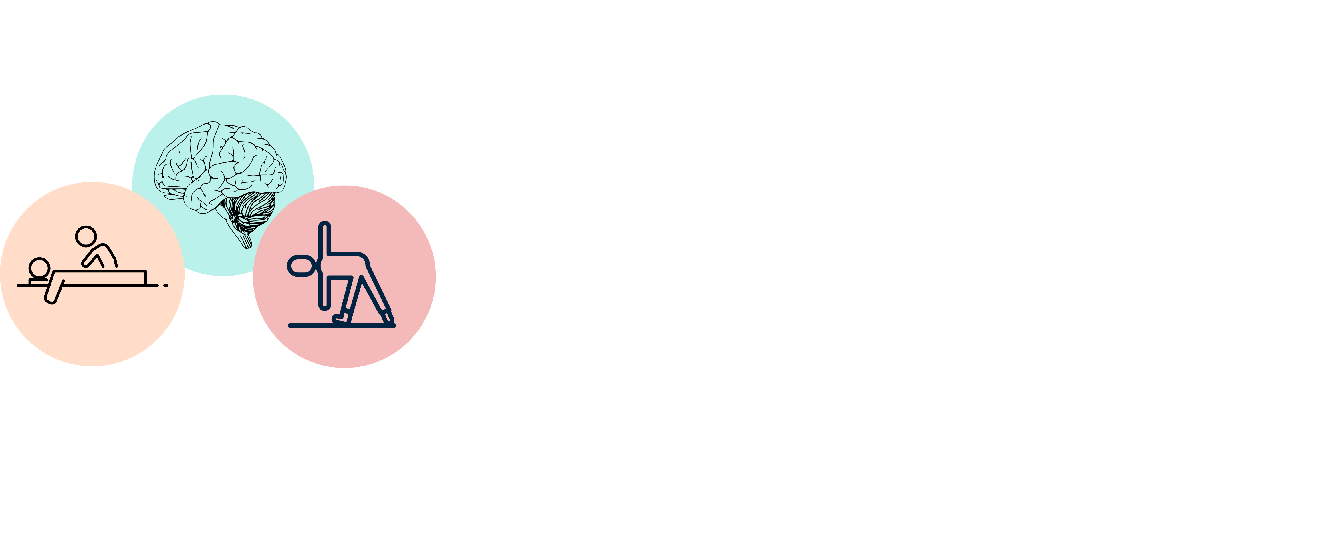 Kein Titel (1500 x 600 px) (1).png