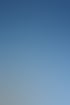Trecolan-Fahne vor blauem Himmel