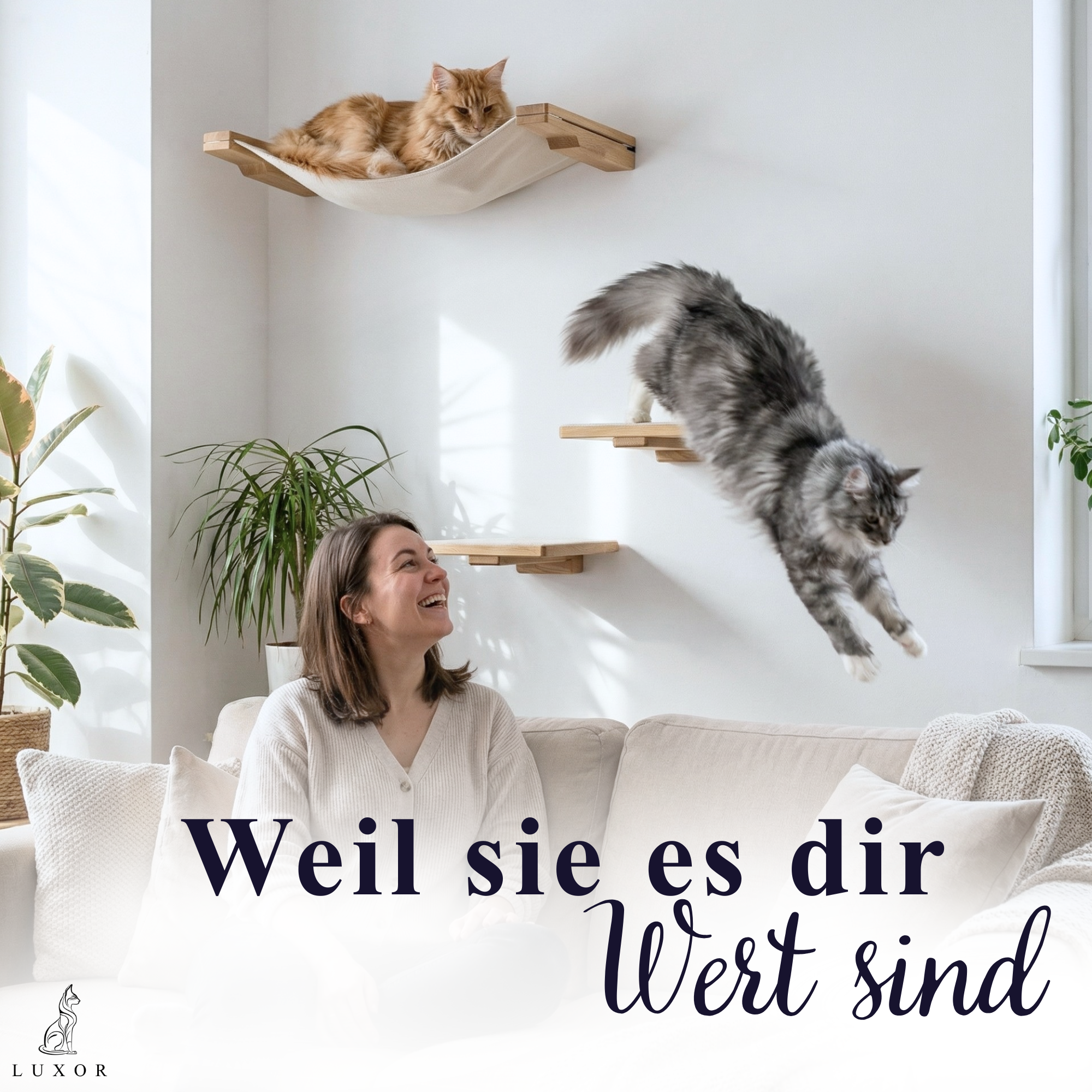 Listing Bilder