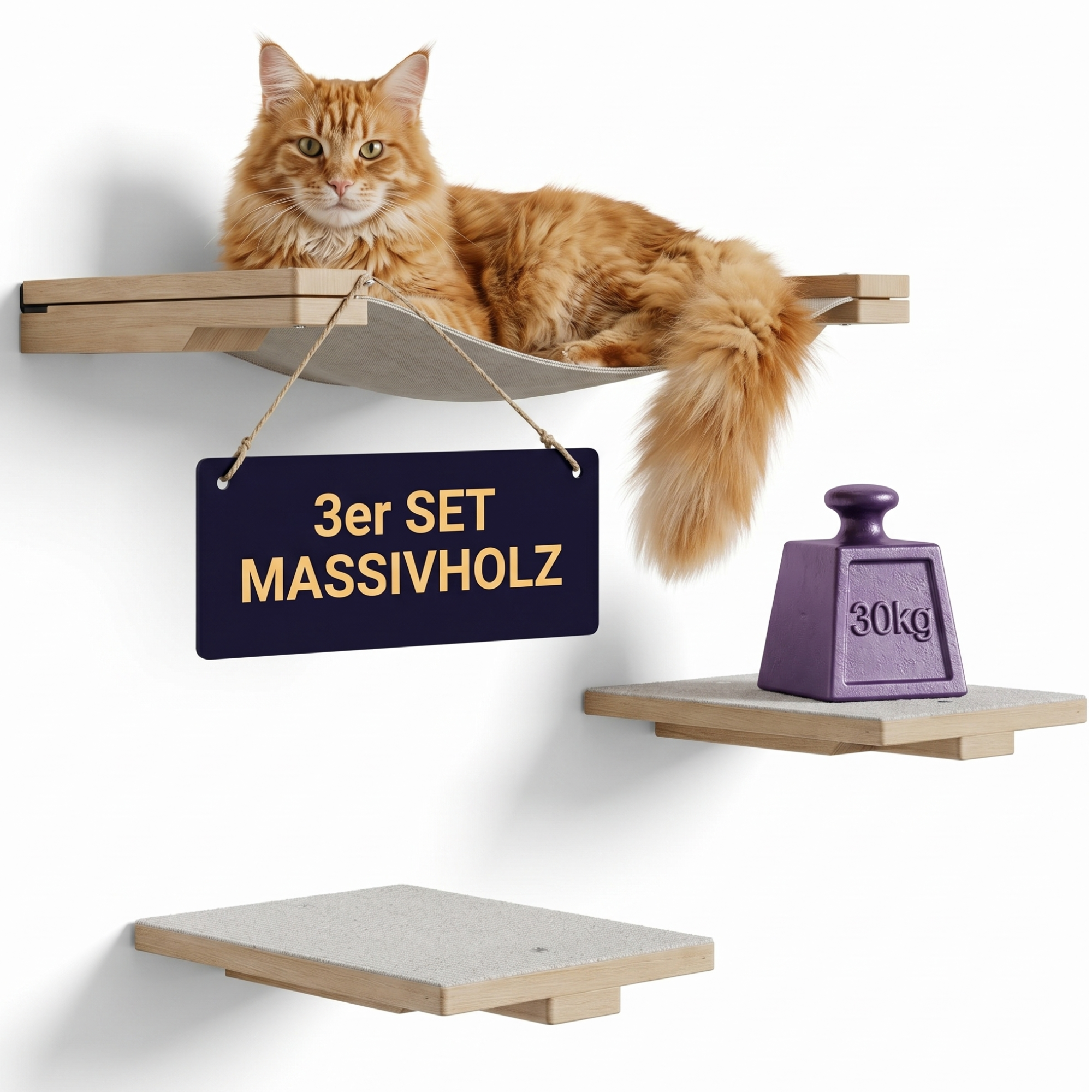 Projekt Zwei