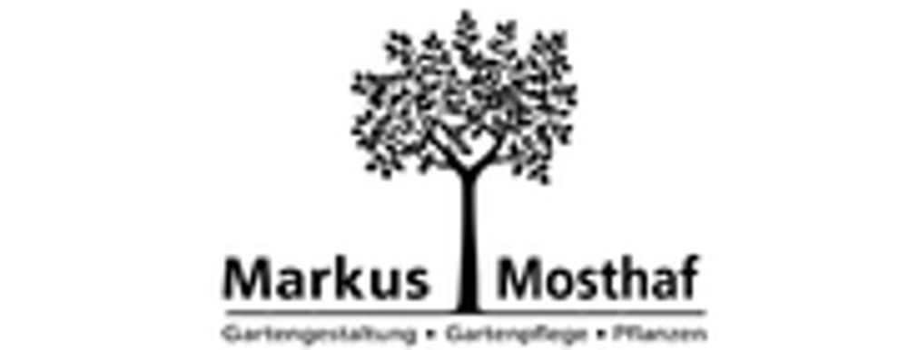 Logo mit schwarzem Baum und dem Text "Markus Maßthof" sowie "vermessung & beratung & systeme".