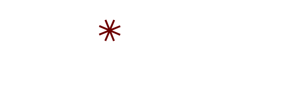 Weißer Text "MODELS MENTAL STÄRKEN" mit Stern als "O" auf dunkelgrünem Hintergrund.