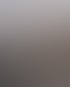 Visualisierung QUERCUS