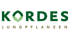 Kordes Jungpflanzen