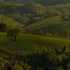 Sonnenaufgang über einem nebligen Tal mit Bäumen und einem grünen Feld im Vordergrund.