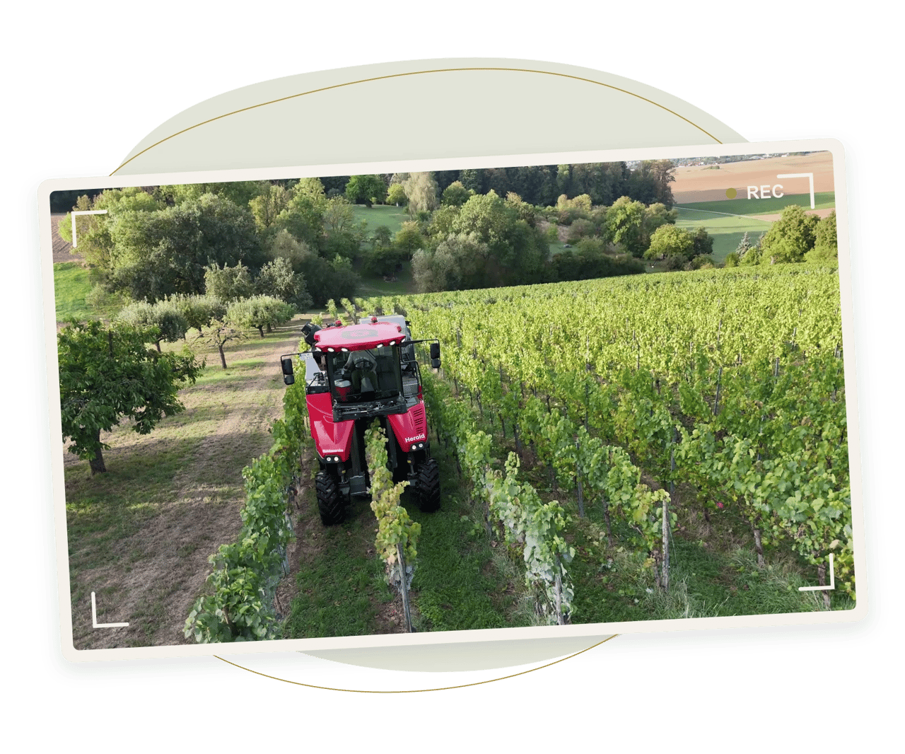 Content Day: Drohnenaufnahme der Weinlese, Fotos und fertige Reels