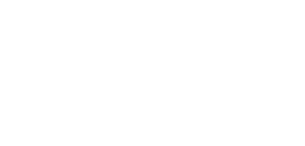 Weißes Logo auf grünem Grund mit Text "MAKE IT IN SCHRAMBERG" und einem geflügelten Eber, der ein Schwert hält.