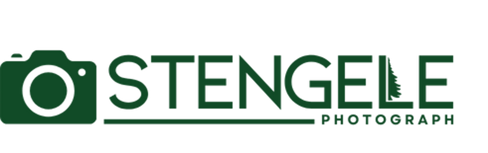 Grünes Logo mit einer Kamera und dem Text "STENGELE PHOTOGRAPH" auf dunkelgrünem Hintergrund.