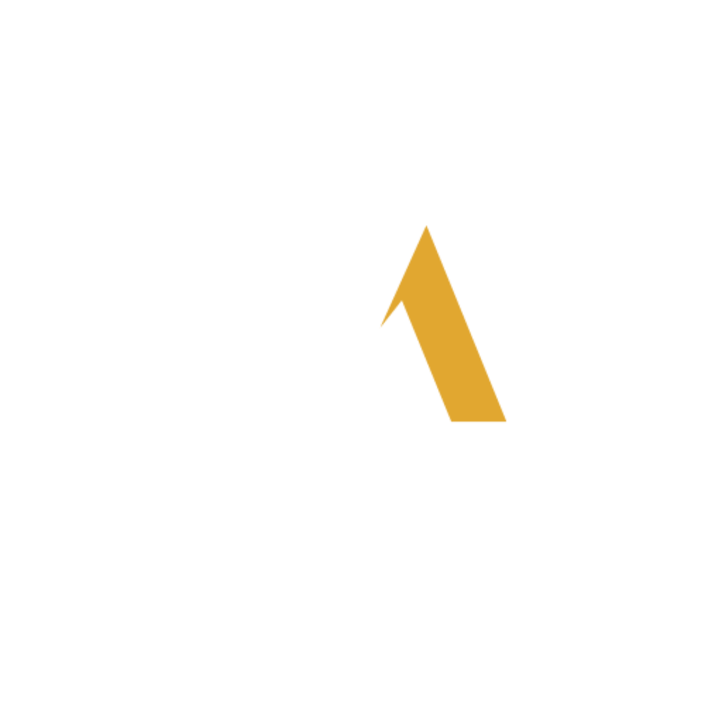 Marketing Evo