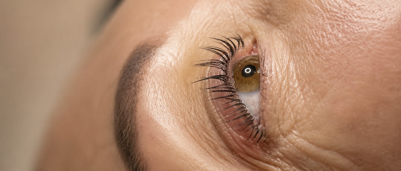 Pflege nach Lash & Brow Lifting bei SWON in Pforzheim