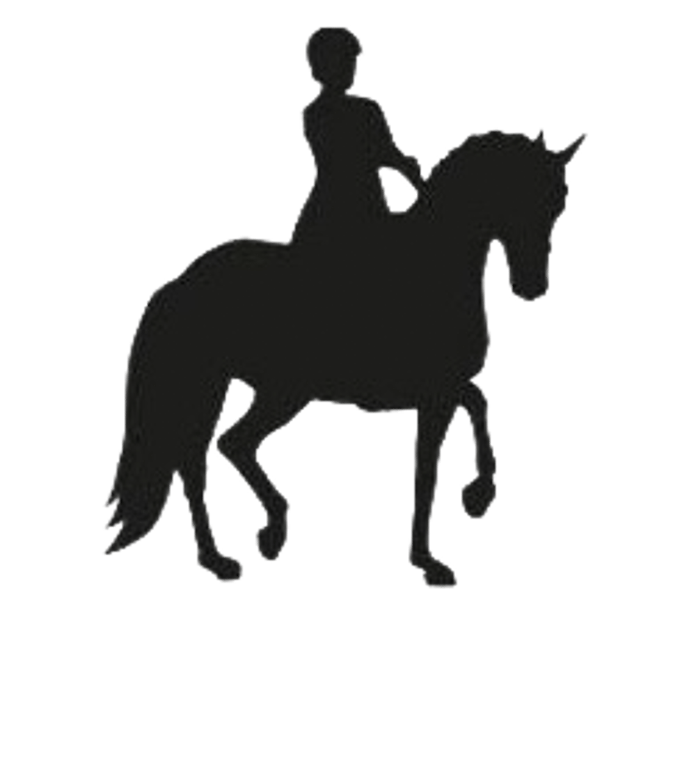 Schwarze Silhouette eines Dressurpferdes mit einer Dressurreiterin auf dem Pferd mit angehobenem Vorderbein. 