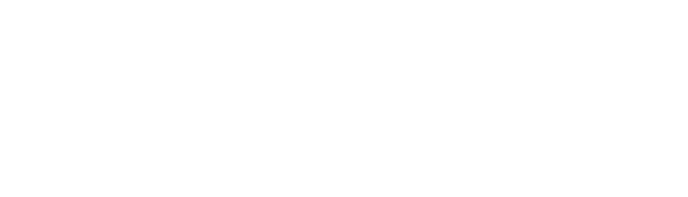 Logo: SACCHETTI ComSens, Interkulturelle Beratung & Training auf dunkelgrünem Hintergrund.