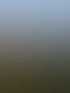 Forstservice Frankfurt (Oder) | Forstservice Winnige