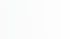 Kundenstimme über SPEEDSCALING