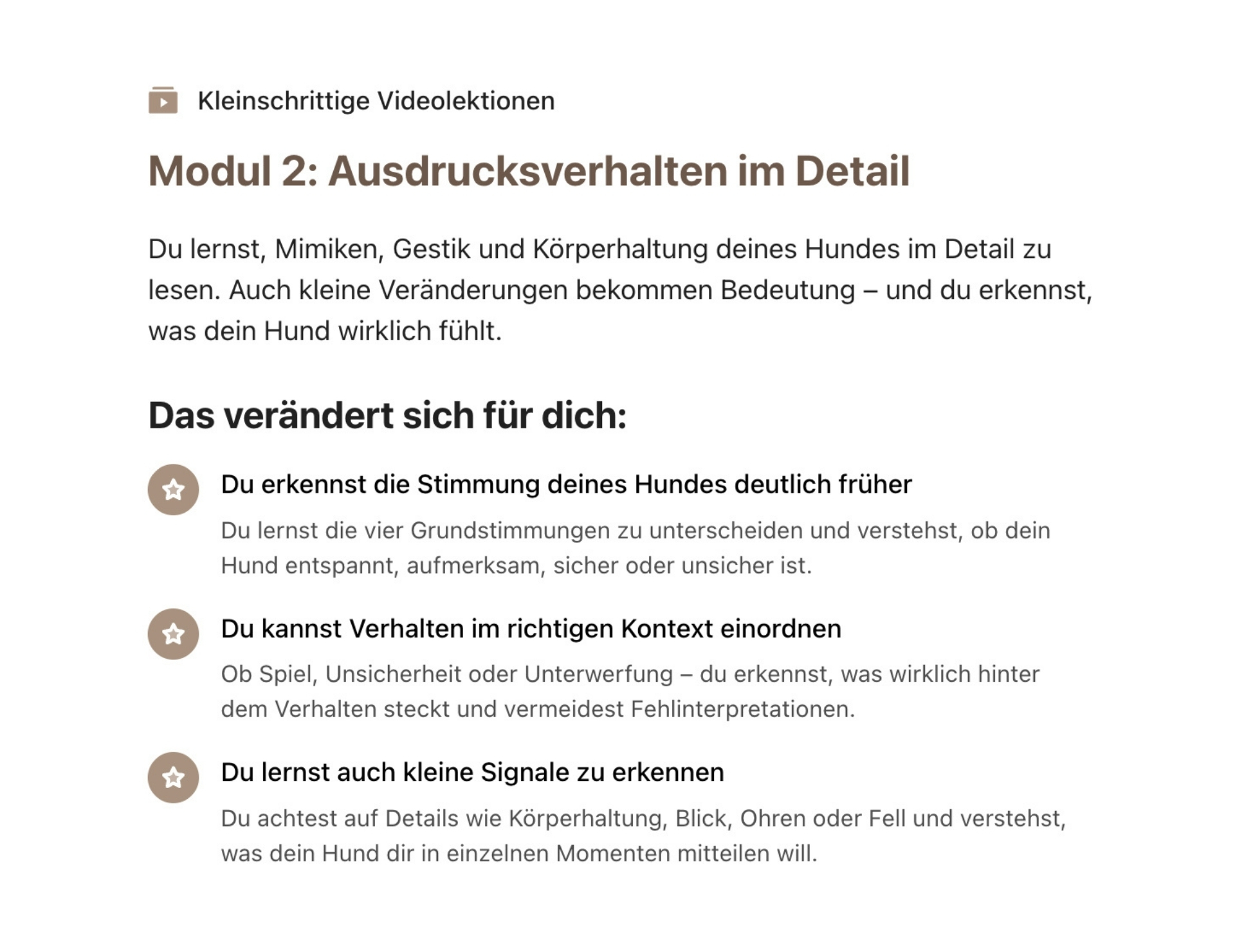Was will dein Hund dir sagen? – Bild 6