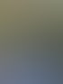 Eine Gruppe von neun Personen sitzt an einem langen Tisch im Freien, gedeckt mit Tellern und Speisen.