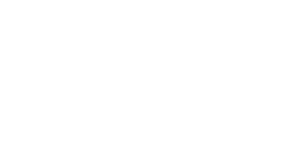 Derfis Detailing Logo: weißer Schriftzug auf dunkelgrünem Hintergrund.