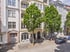 Mehrstöckige Altbaufassaden mit Balkonen und grünen Laubbäumen an einer gepflasterten Stadtstraße mit parkenden Autos.