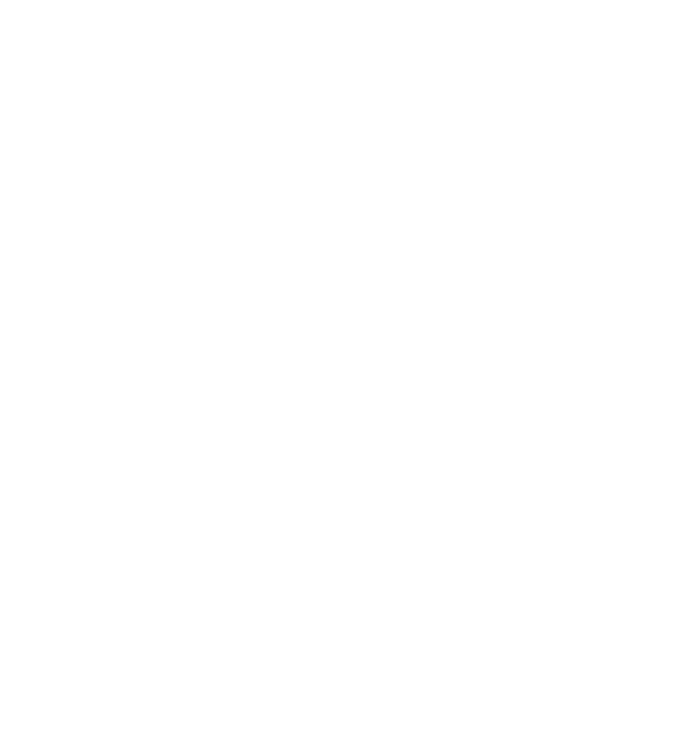 Grünes PlenusCare-Logo mit stilisiertem "C" und "P".