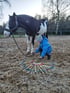 Ein Kind in blauer Jacke hockt neben einem schwarz-weißen Schecken auf einem Reitplatz und spielt mit Mikado-Stäben im Sand.